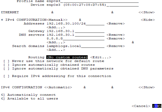 centos 7 static ip local access